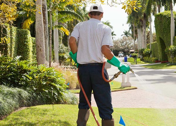 About Milan MI Pest Control